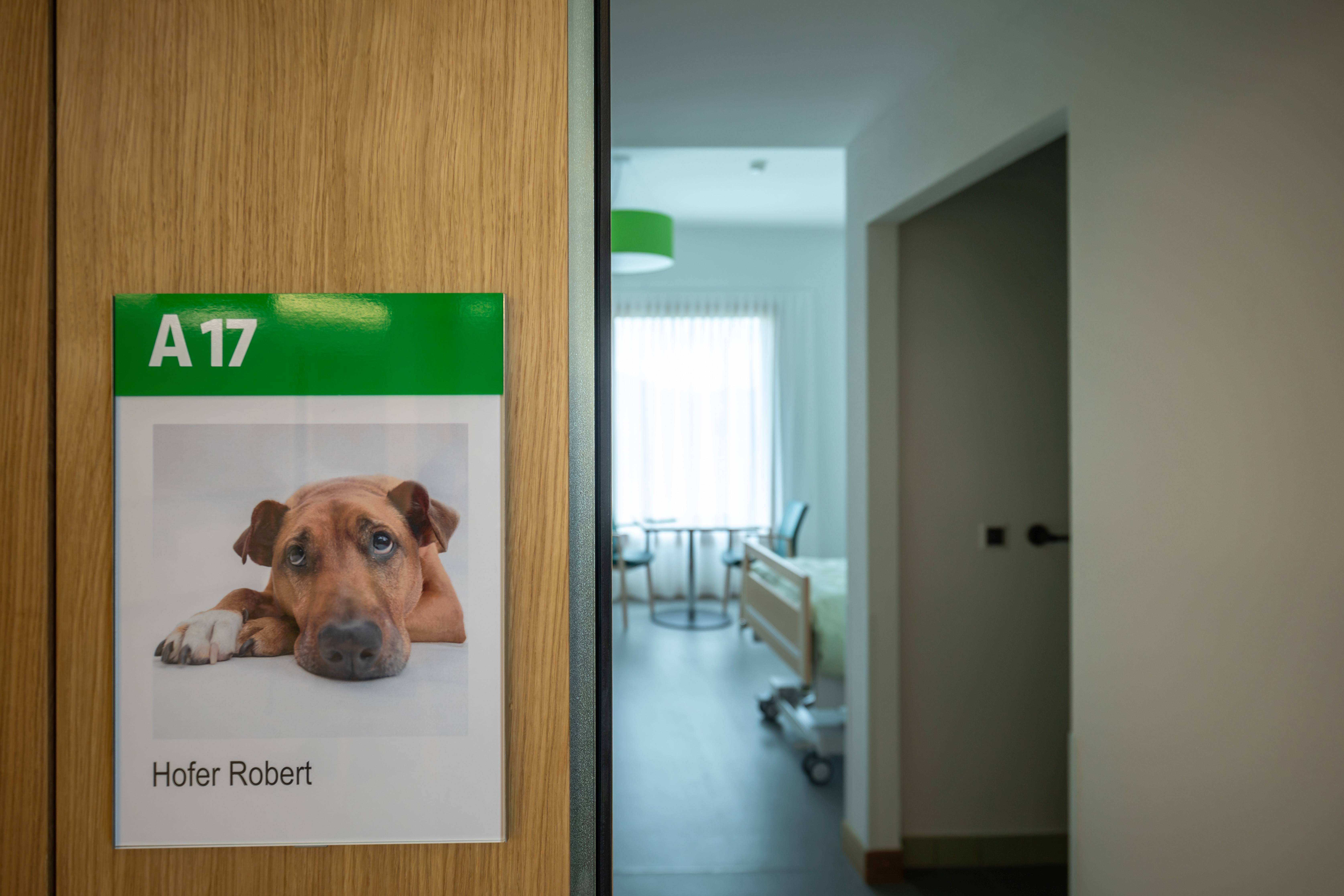 Beratung Erweiterungsbau Pflegeheim Sennhof AG, Vordemwald, CH
