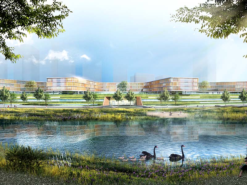 SUS Tech School of Medicine & SUS Tech Affiliated Hospital