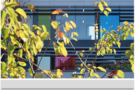 König Ludwig Haus - Zentrum für seelische Gesundheit -Würzburg