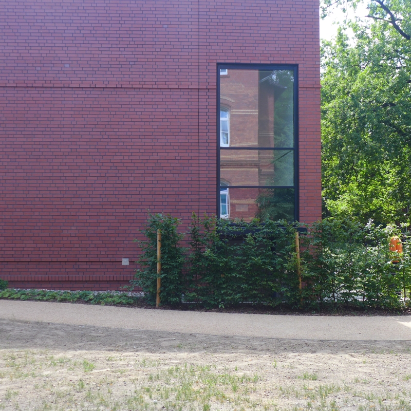 Salus Fachklinikum Uchtspringe Haus 6
