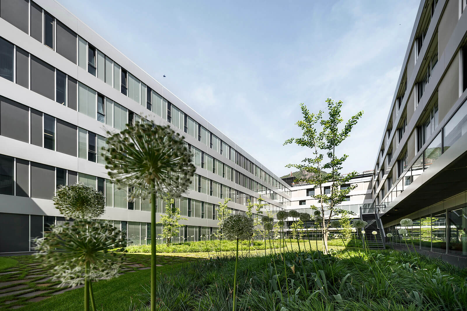 Umbau und Erweiterung Krankenhaus Bozen 1.BA Neubau Klinik